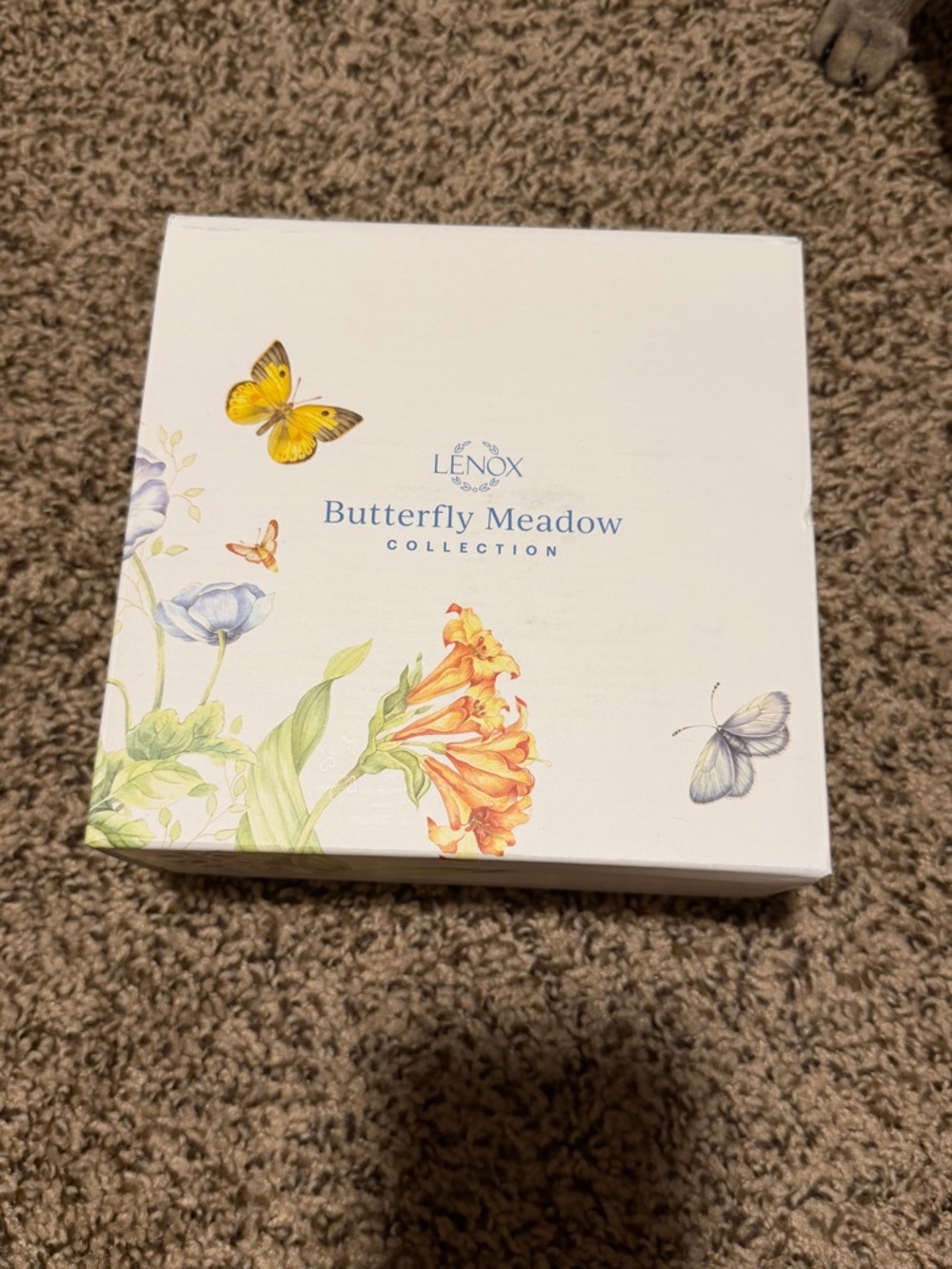 Lenox Butterfly Meadow Party plates NWT